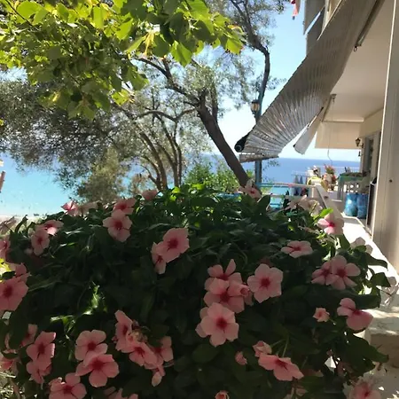 Apartment Stefani With A Sea View Terrace! Nea Moudania